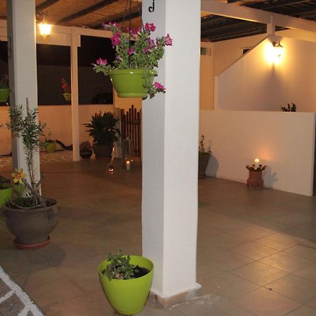 Elounda Olive Garden Apts & Studios Zewnętrze zdjęcie