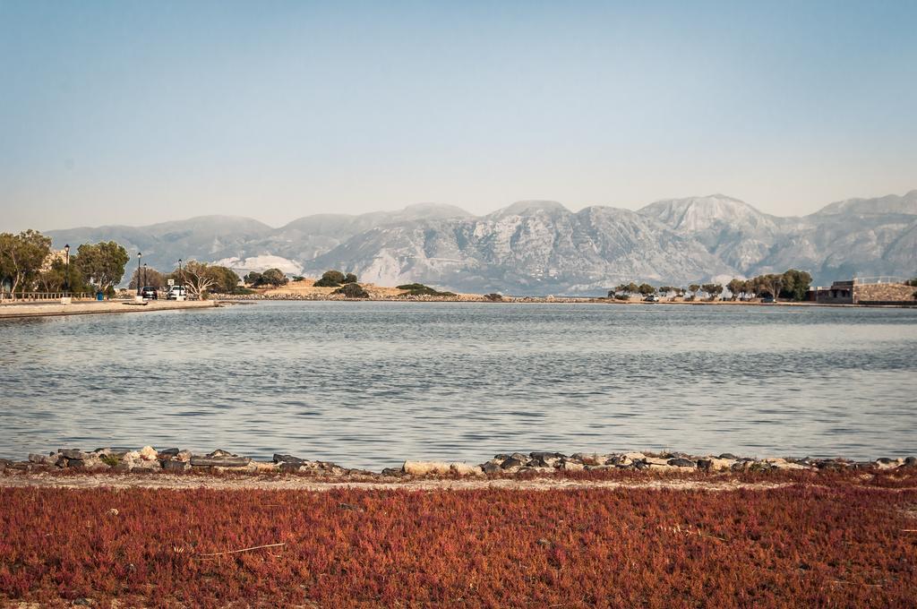 Elounda Olive Garden Apts & Studios Zewnętrze zdjęcie