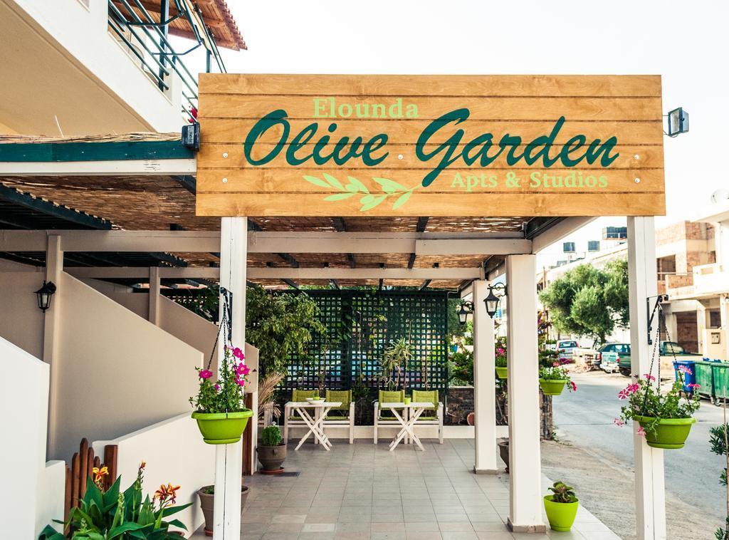 Elounda Olive Garden Apts & Studios Zewnętrze zdjęcie