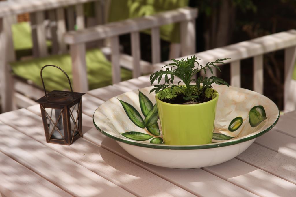 Elounda Olive Garden Apts & Studios Zewnętrze zdjęcie