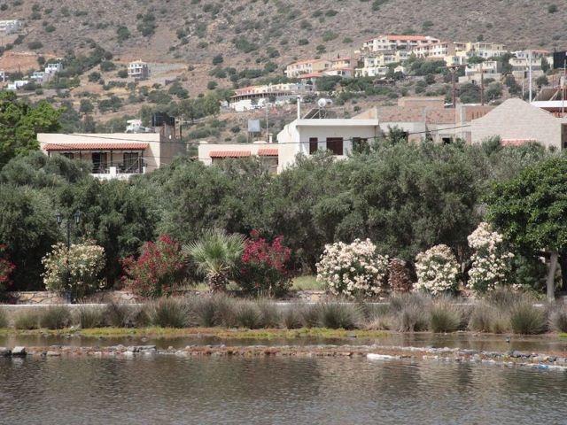 Elounda Olive Garden Apts & Studios Zewnętrze zdjęcie