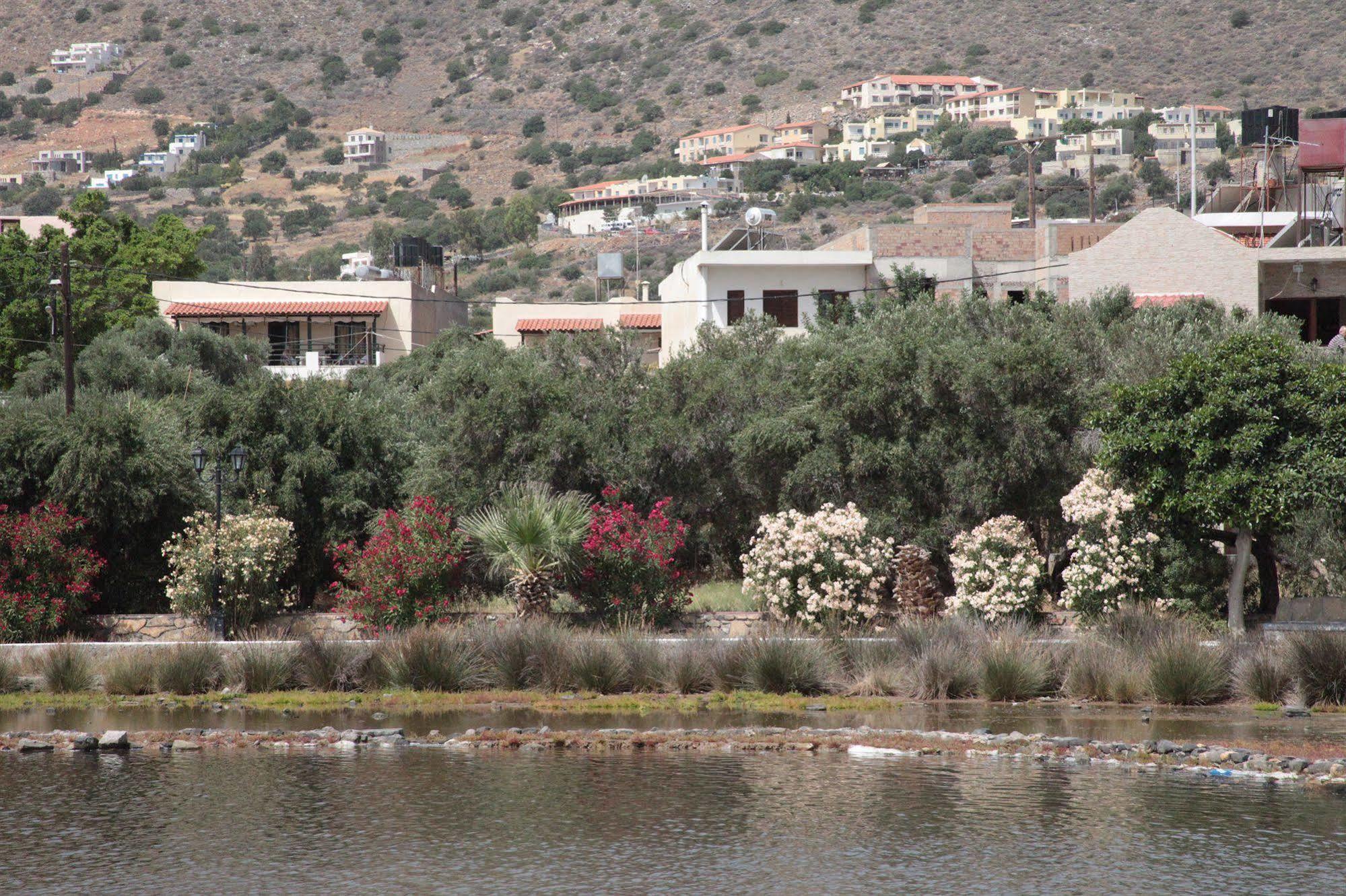 Elounda Olive Garden Apts & Studios Zewnętrze zdjęcie