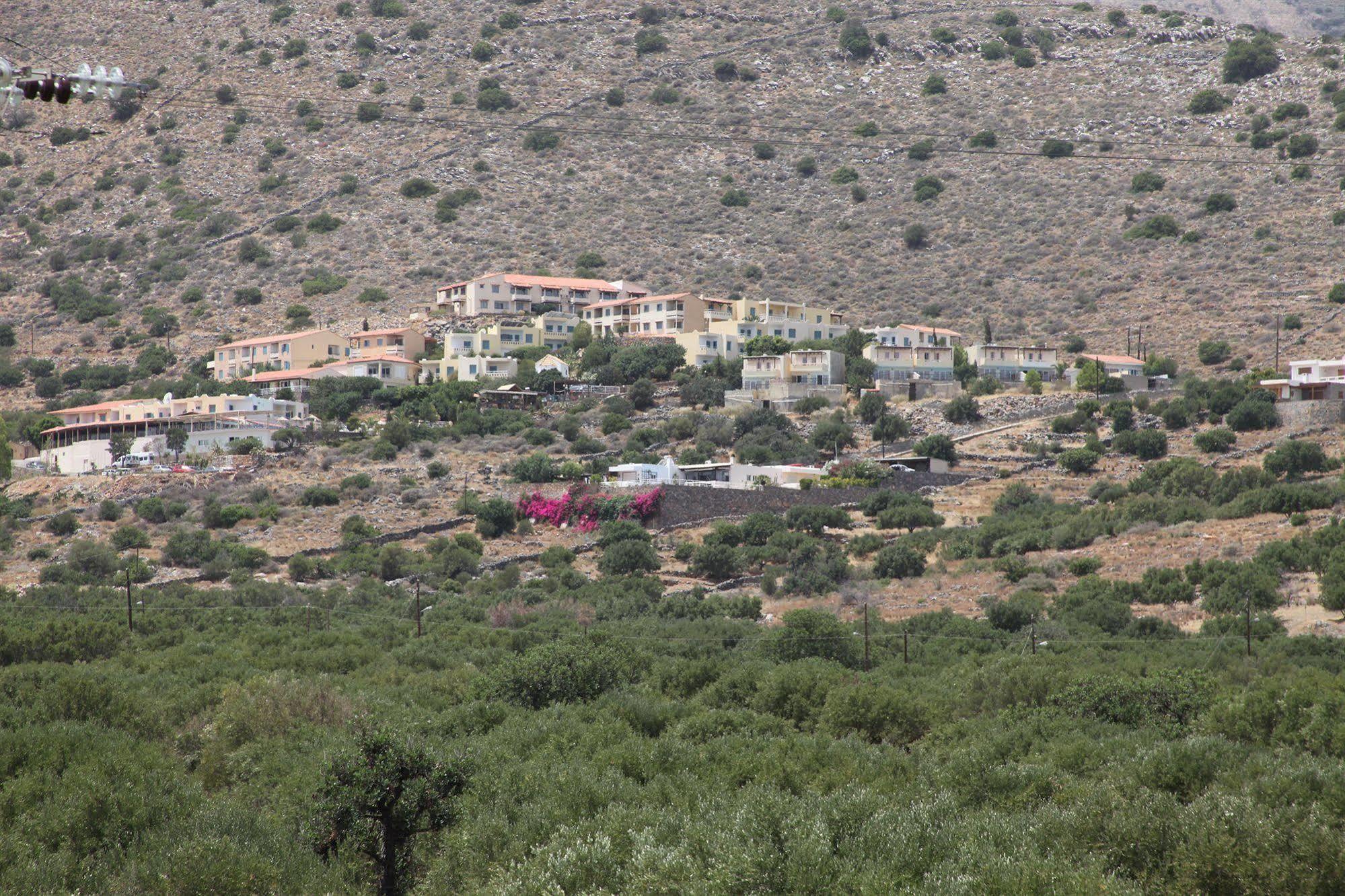 Elounda Olive Garden Apts & Studios Zewnętrze zdjęcie
