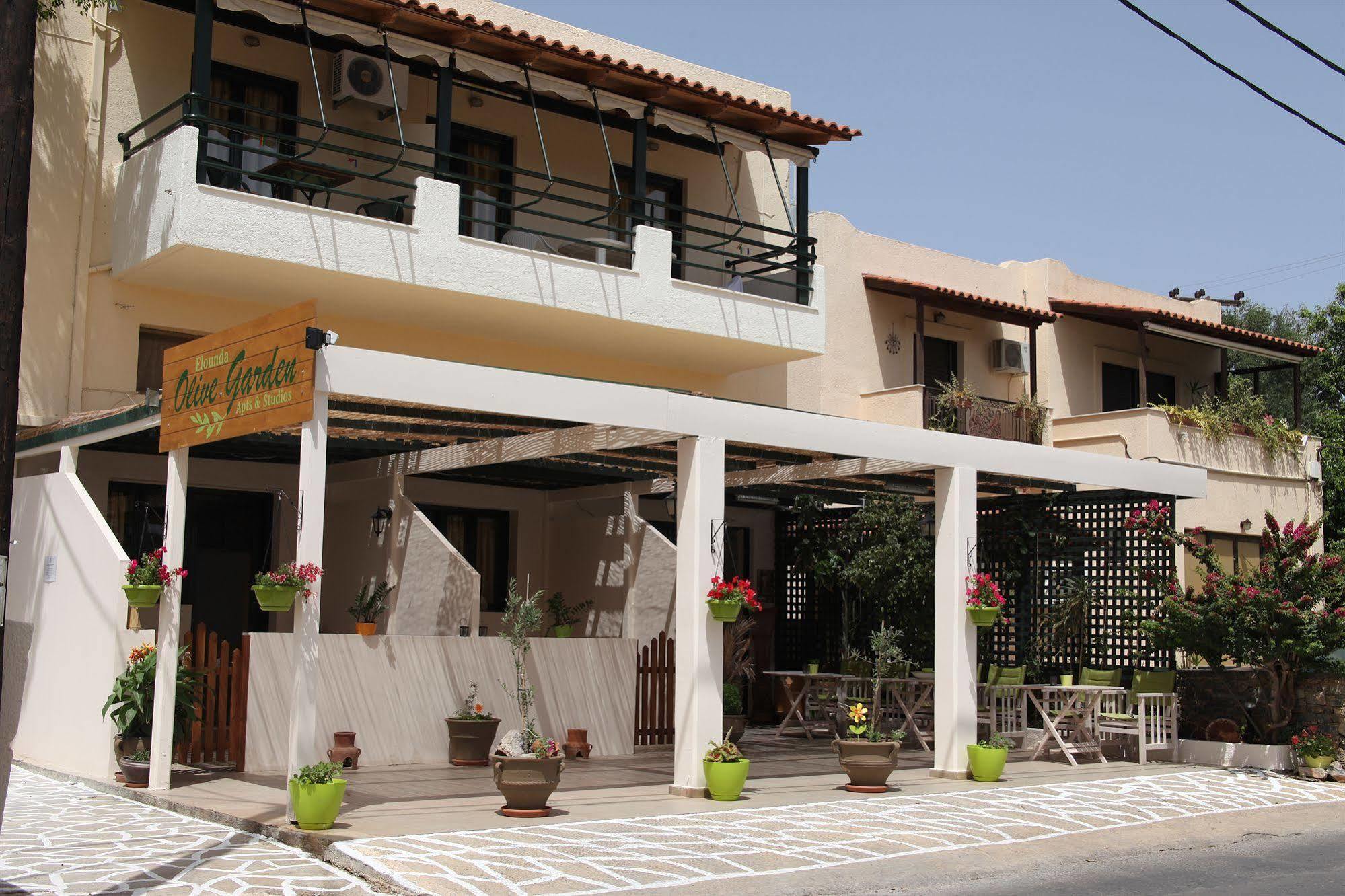 Elounda Olive Garden Apts & Studios Zewnętrze zdjęcie