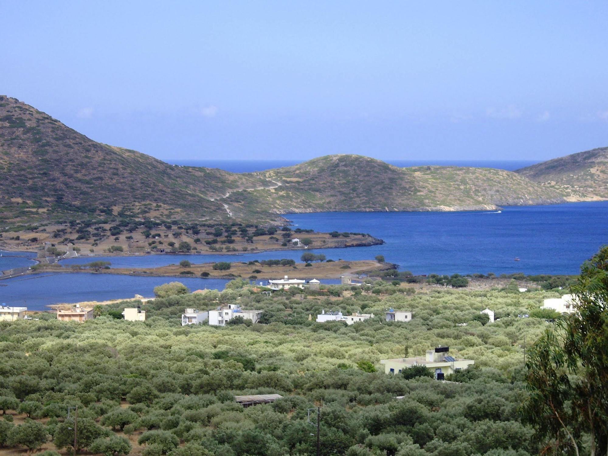 Elounda Olive Garden Apts & Studios Zewnętrze zdjęcie